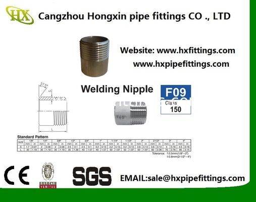 Đầu nối ống thép không gỉ nữ/nam giá rẻ, chất lượng cao nhà cung cấp